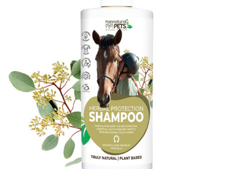 Natural Horse Shampoo Herbal Protection Pannatural Pets