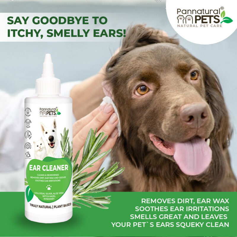 Natural Pet Ear Cleanser - Image 4