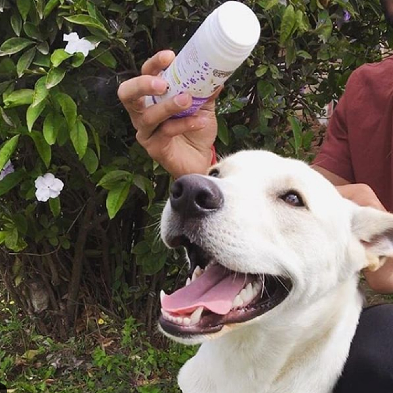 Insta Apollo_1026 Insta Apollo_1026