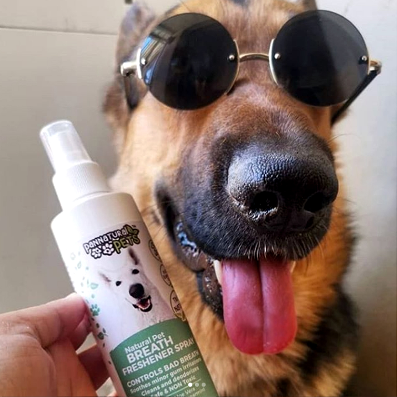 Insta Nugget_gsd Insta Nugget_gsd