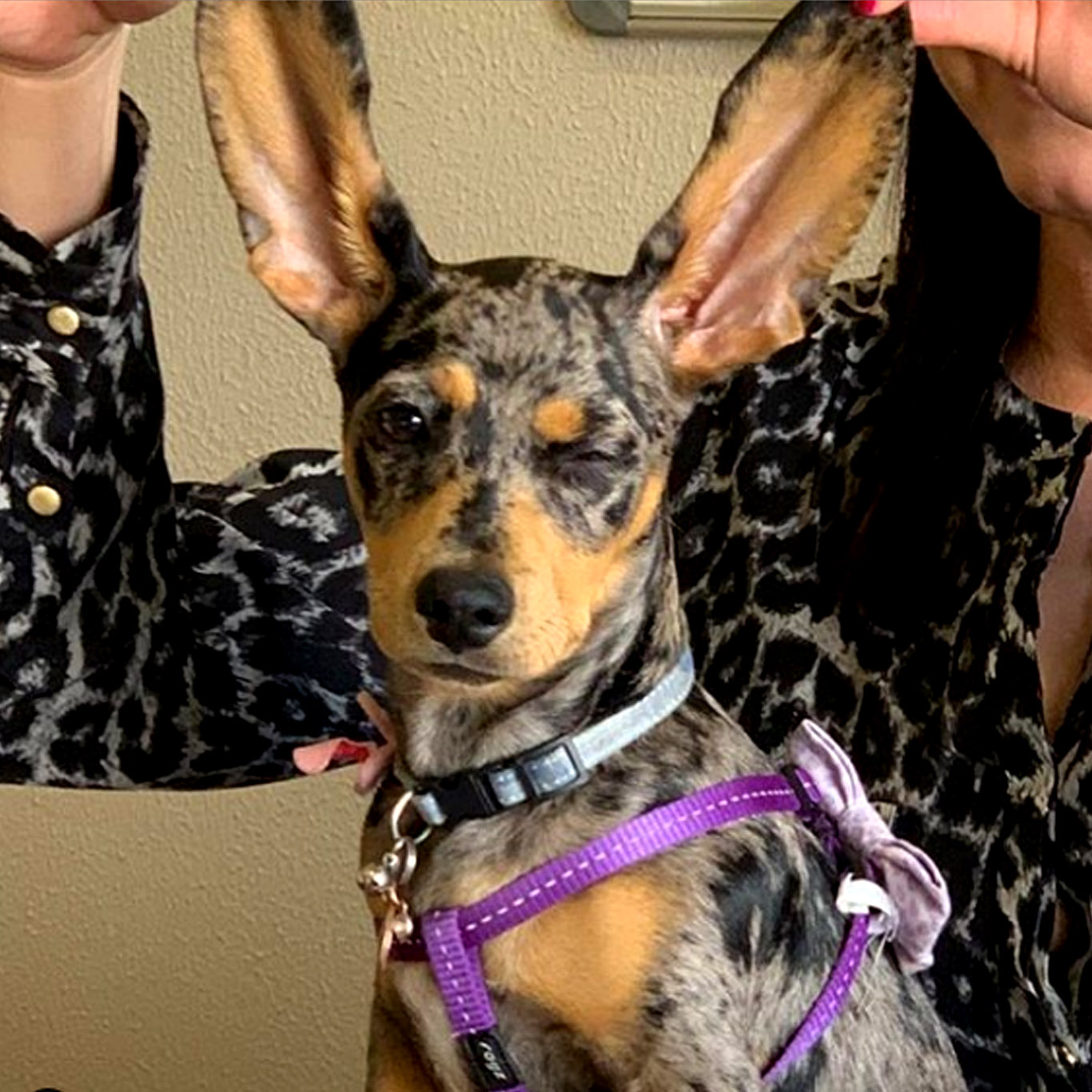 Insta sadie Insta sadie