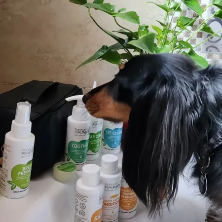 Adventure awaits, but good hair days come first!Our @leashandtreatsa Travel Grooming Kit keeps us looking fresh no matter where our paws take us. Stylish, compact, and packed with all the essent (2)