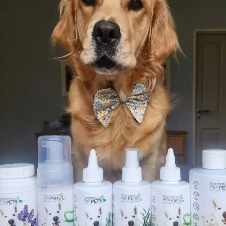 From mud monster to pampered pup! 🐕🐾🛁✨After proudly earning her title as the Muddiest Pup, L (3)