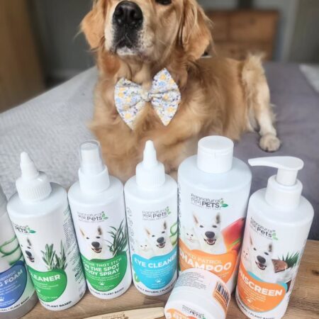 From mud monster to pampered pup! 🐕🐾🛁✨After proudly earning her title as the Muddiest Pup, L
