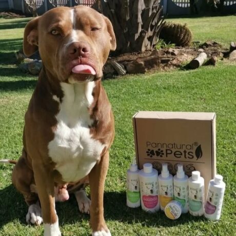 Have a happy weekend. Thank you for the cutest picture to @thelifeofpitbulls @pannnatural_pets #pannaturalpets #trulynatural #localbusiness #localislekker #certifiedcrueltyfree #vegan #biodegradabl