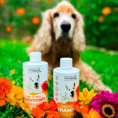 MURPH APPROVED SPA DAY! Murph smells like a tropical dream thanks to @pannatural_pets Shed Patrol Shampoo & Conditioner. Less shedding, more softness, the most beautiful scent. Hope he’s not tir (3)