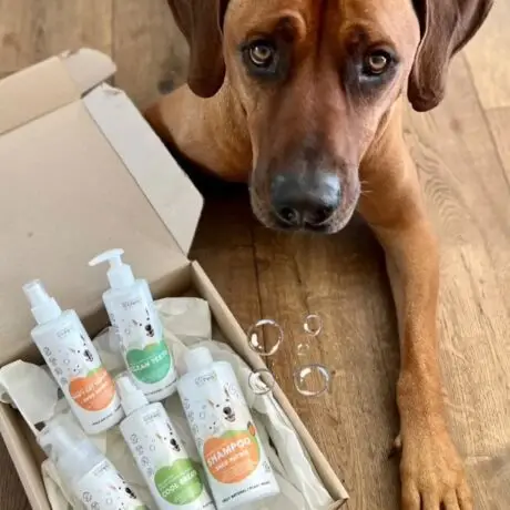 Our new products available in stores from now. @pannnatural_pets#pannaturalpetsThank you for the photo to @shumbi.bumbi We love you #naturalpetshampoo #naturalpetproducts #naturalpetcare #shedpatr