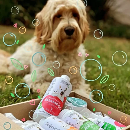 We can’t wait to try all these delicious products from @pannatural_pets Thank you so much for this goodie box, Arlo the swamp monster is ready for his @pannatural_pets makeover!Reposted from @osha