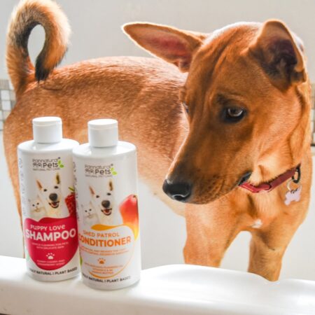 time for a squeaky clean dog! 🫧 our all time favourite grooming products @pannatural_pets (2)