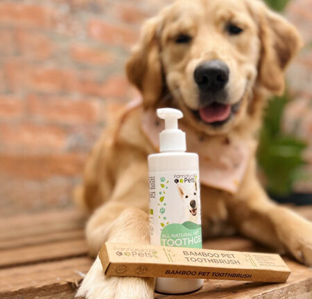 Natural ToothGel