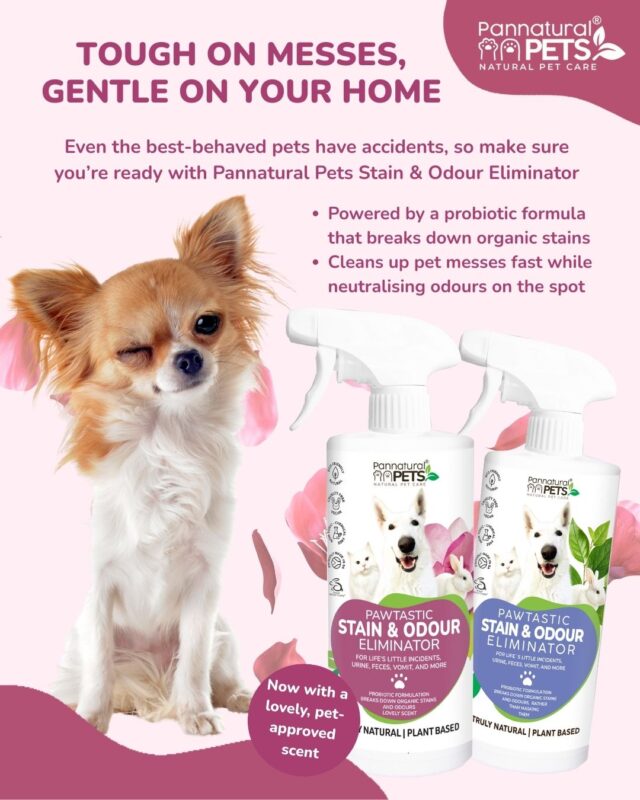 Natural Pet Spray Stain and Odour Elliminator Scented odour remover , stain remover , vomit remover , blood stain remover , Urine stain remover , Feces stain remover