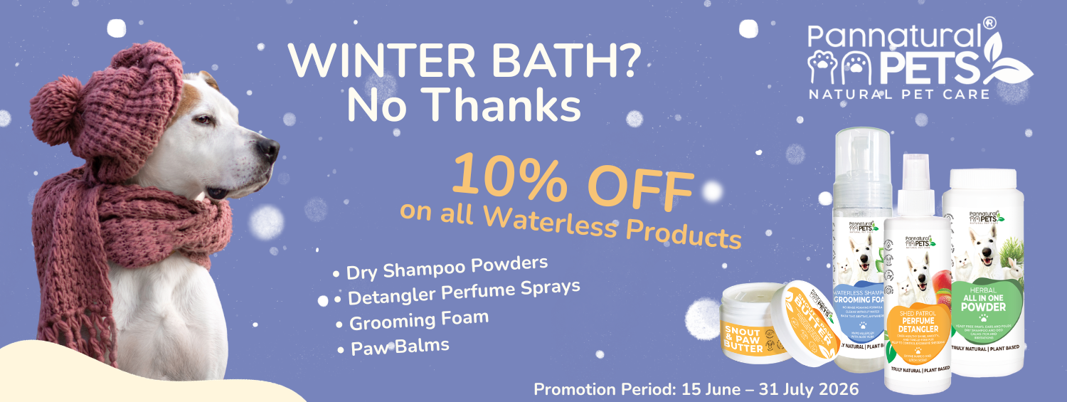 Winter Sale